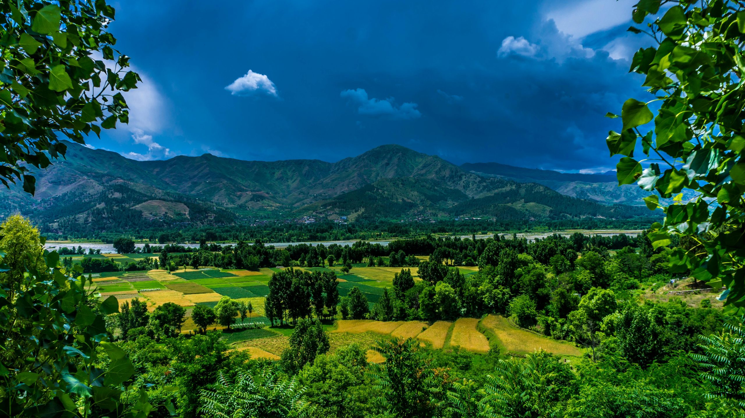 Scenic view of Kalam Valley in Pakistan with lush greenery and mountains.